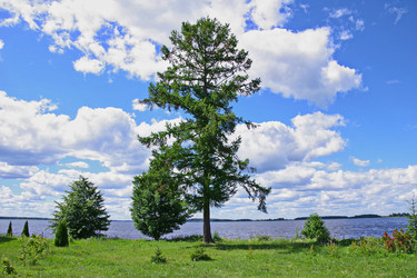 Similar image 22353872