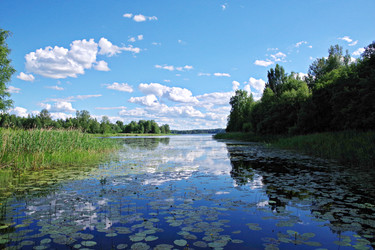 Similar image 22353881