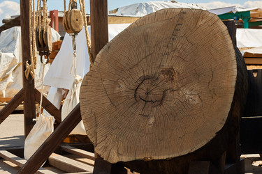 Similar image 22354445