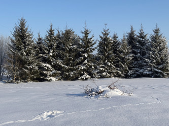 Similar image 22362781