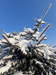 Similar image 22362782