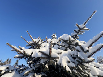 Similar image 22362783