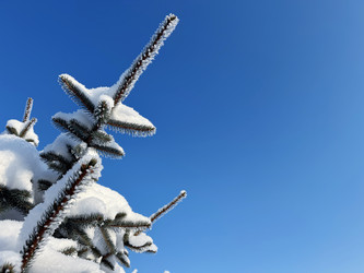 Similar image 22362785