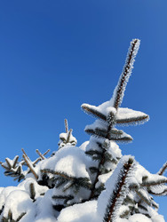 Similar image 22362786