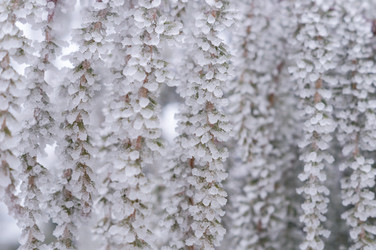 Similar image 22353820