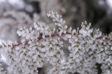 Similar image 22355314