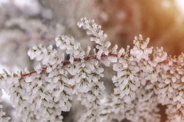 Similar image 22353821