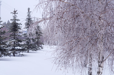 Similar image 22355316