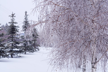 Similar image 22359340