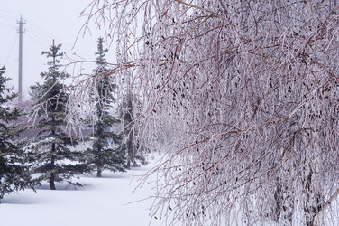 Similar image 22355317