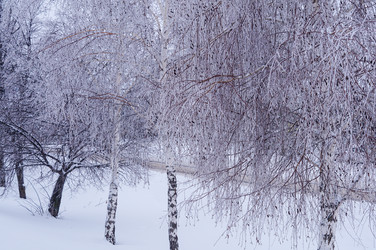 Similar image 22355318