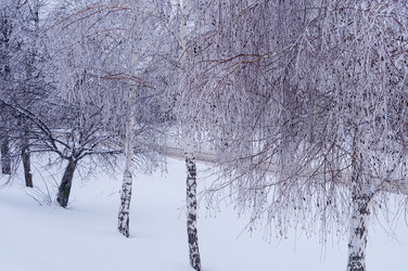 Similar image 22355319