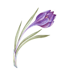 Similar image 22374175