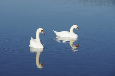 Similar image 22354447