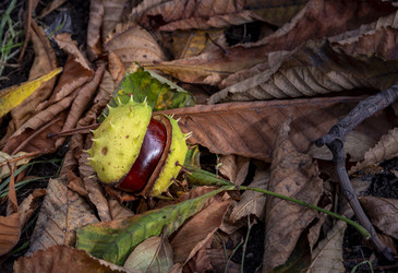 Similar image 22353882