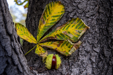 Similar image 22353883