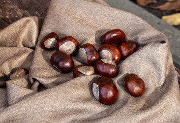 Similar image 22353886