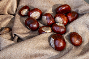 Similar image 22353887