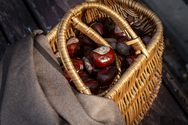 Similar image 22353888