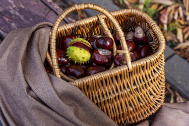 Similar image 22353889