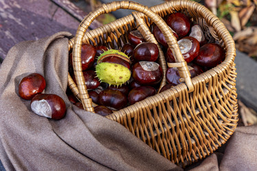 Similar image 22353890