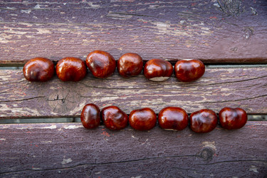 Similar image 22353891