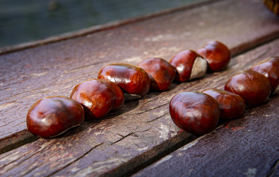 Similar image 22353892