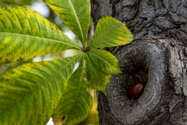 Similar image 22353893