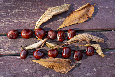 Similar image 22353894