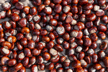 Similar image 22353895