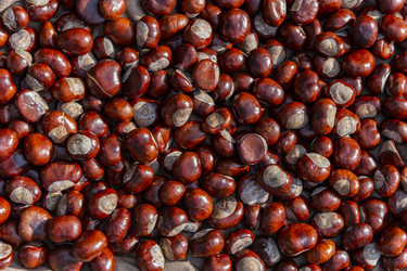 Similar image 22353896