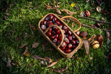 Similar image 22353898