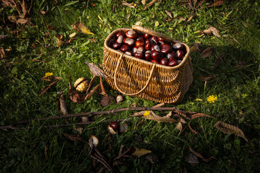 Similar image 22353899