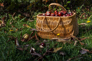 Similar image 22353900