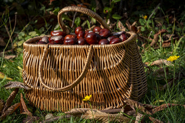 Similar image 22353901