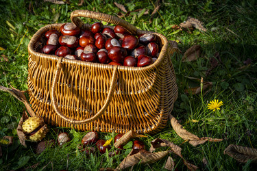 Similar image 22353902