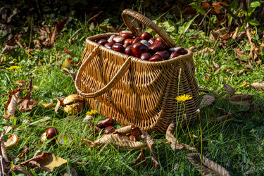 Similar image 22353903