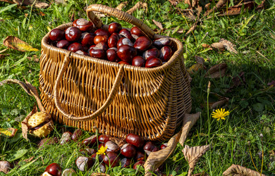 Similar image 22354767