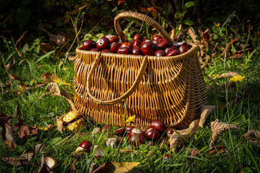 Similar image 22354768