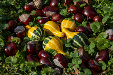 Similar image 22354770