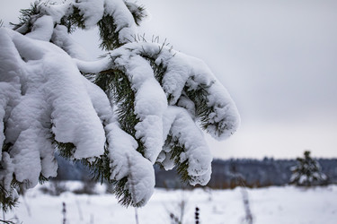 Similar image 22360660