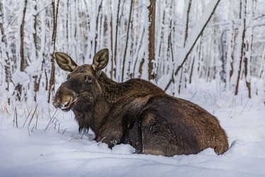 Similar image 22360675