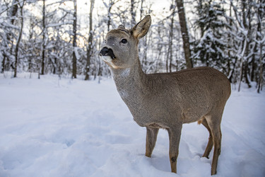 Similar image 22360677