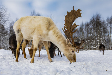 Similar image 22360679