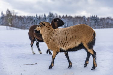 Similar image 22360680