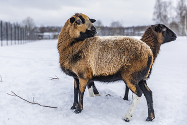 Similar image 22360681