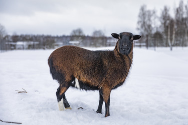 Similar image 22360682