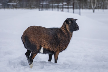 Similar image 22360683