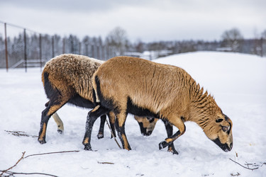 Similar image 22360684