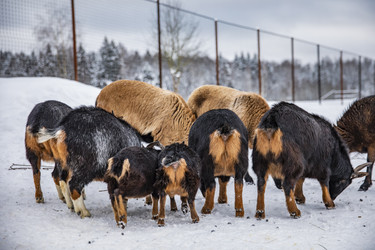 Similar image 22360687